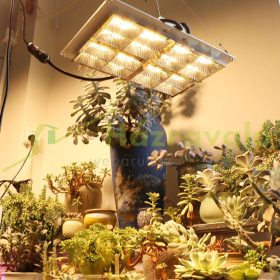   1200W Üvegház világítás fóliasátor növénynevelő LED fény panel állítható fényerő IP44 vízállóság