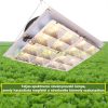 1200W Greenhouse lighting foil tent grower LED light panel adjustable brightness IP44 waterproof