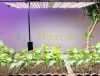  2000W Greenhouse lighting foil tent for growing plants LED light panel with IP44 waterproofness can be connected in series