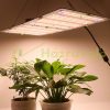 200W Greenhouse lighting foil tent grower LED light panel Orsam LED chip adjustable brightness IP44 waterproof