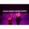 Waterproof Greenhouse Lighting 600W Plant Growing LED Light Panel Adjustable Brightness IP65 Waterproof for Foil Tent