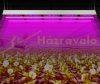 Waterproof Greenhouse Lighting 750W Plant Growing LED Light Panel Adjustable Brightness IP65 Waterproof for Foil Tent