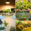 100W Plant lamp Greenhouse lighting with SUNLIGHT-like light Flower grower with UV and IR led with E27 socket