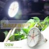 120W Plant lamp greenhouse lighting daytime white light full spectrum flower growing LED with E27 socket