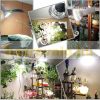 120W Plant lamp greenhouse lighting daytime white light full spectrum flower growing LED with E27 socket