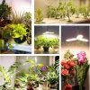 150W Növény lámpa  4 darabos szett, Üvegház világítás NAPFÉNY jellegű fénnyel Virág nevelő 414 LED fény UV és IR leddel E27 foglalattal