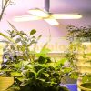 200W Plant lamp greenhouse lighting with sunlight-like light flower grower 552 LED lights with UV and IR LEDs with E27 socket