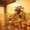  300W Üvegház világítás napfény jellegű fénnyel fóliasátor növénynevelő 2 x 1560 db LED fény 