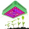 Növény lámpa Üvegház világítás Virág nevelő LED fény 300W UV és IR leddel