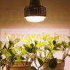 300W Plant lamp Greenhouse lighting with SUNLIGHT-like light Flower grower with UV and IR led with E27 socket