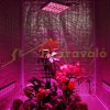 45W plant growing LED lamp can be hung 144LED plant lamp panel greenhouse lighting
