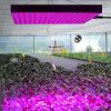  45W Plant growing LED lamp can be hung full spectrum 225 LED plant lamp panel greenhouse lighting