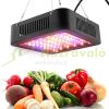 600W Plant lamp Greenhouse lighting with SUNLIGHT-like light Flower grower with UV and IR led