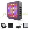 600W Plant lamp Greenhouse lighting with SUNLIGHT-like light Flower grower with UV and IR led