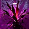 Indoor tent for plant growing lamp with reflective film 120x120x200cm