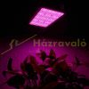 2 db 400W Növénylámpa Üvegház világítás növénynevelő 800W LED fény extra UV és IR leddel