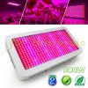 Növénylámpa Üvegház világítás növénynevelő LED fény 600W extra UV és IR leddel