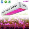 Növénylámpa Üvegház világítás növénynevelő LED fény 600W extra UV és IR leddel