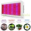 Növénylámpa Üvegház világítás növénynevelő LED fény 600W extra UV és IR leddel