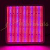 800W Plant Lamp Greenhouse lighting plant growing LED light with extra UV and IR LEDs