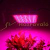 800W Plant Lamp Greenhouse lighting plant growing LED light with extra UV and IR LEDs