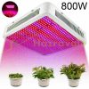 800W Plant Lamp Greenhouse lighting plant growing LED light with extra UV and IR LEDs