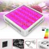 800W Plant Lamp Greenhouse lighting plant growing LED light with extra UV and IR LEDs