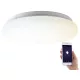 Okos mennyezeti lámpa WLAN-LED lámpa Amazon Alexa és Google Assistant számára, CCT, 24W