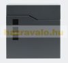 Galvanized steel mailbox in anthracite color with newspaper holder and windows, fashionable appearance 