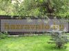 Polyrattan privacy tape 255 cm long 19 cm high black color Wind deflector that can be attached to a fence