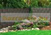Polyrattan privacy tape 255 cm long 19 cm high honey color Wind deflector that can be attached to a fence