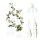 Round rose arbor set of 2 white plant runners 