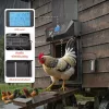 HIÁNYOS! Automata tyúkól ajtó LCD kijelzővel 40,5x33 cm fényérzékelős baromfi kifutó ajtó időzítővel
