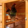 Hen house 185x176x99 cm poultry house with bitumen roof pine wood chicken house winter-proof birdhouse, cage