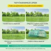 Íves tetős üvegház 6,1x 3x2,1 m zöld fóliasátor horganyzott acélvázzal és 12 ablakkal 