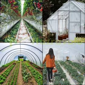   Üvegház fólia UV-álló, átlátszó polietilén fólia 3,6x8,5 méter 0,15 mm vastagságú alagút fóliasátor borítás