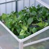 Mini greenhouse polycarbonate greenhouse 100x100x48 cm aluminum frame plant house for growing fruits, vegetables and plants 