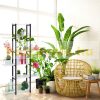 6 shelf flower stand metal frame plant holder black and white flower shelf