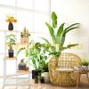 Indoor flower stand white flower staircase with 4 shelves flower stand