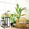 Indoor flower stand black flower staircase with 4 shelves flower stand