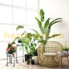 Indoor and outdoor metal flower stand with 5 shelves in black 