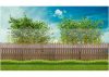 WPC fence slats walnut 100 WPC fence fence element