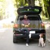 XL dog carrier double pet cage aluminum portable for 2 dogs with Dogbox partition 